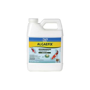 AlgaeFix Algaecide
