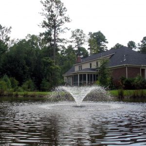 Aerating Fountain by Kasco 2400VFX