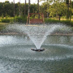 Aerating Fountain by Kasco 3400VFX