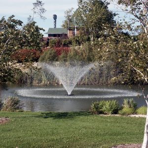 Aerating Fountain by Kasco 4400VFX