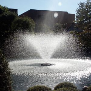 Decorative Fountain by Kasco 8400JF