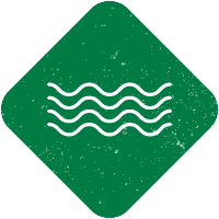 Lake and pond management services