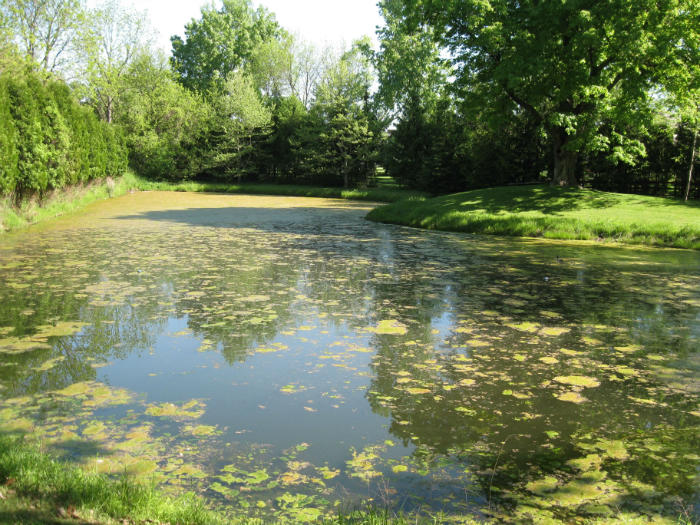 Pond before fountain and aeration service