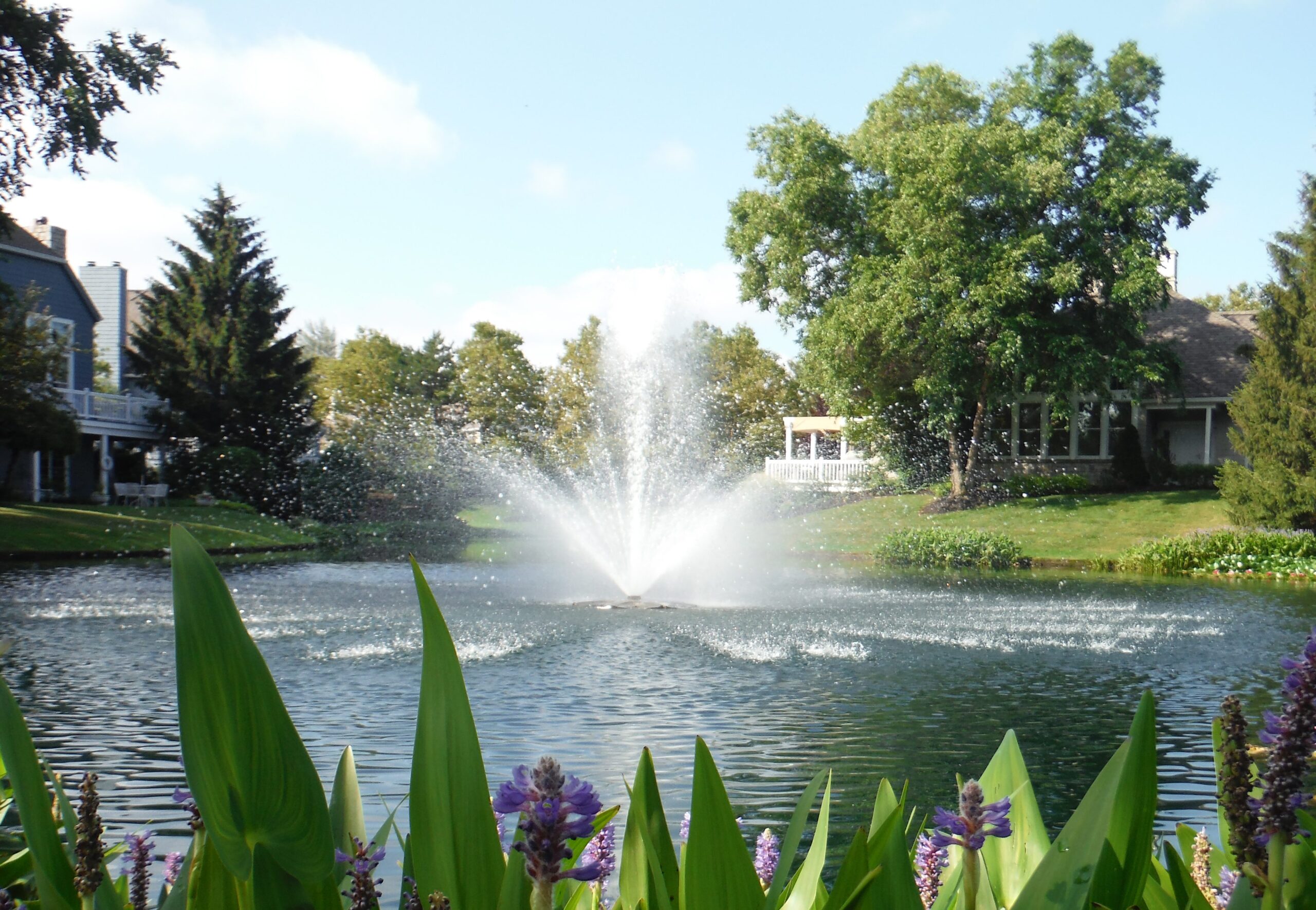 Finished commercial water feature maintained by AQUA DOC