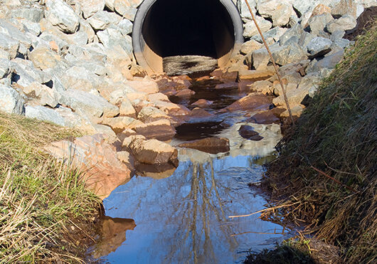 A storm drain on a sunny day reflecting a tree in the outflow